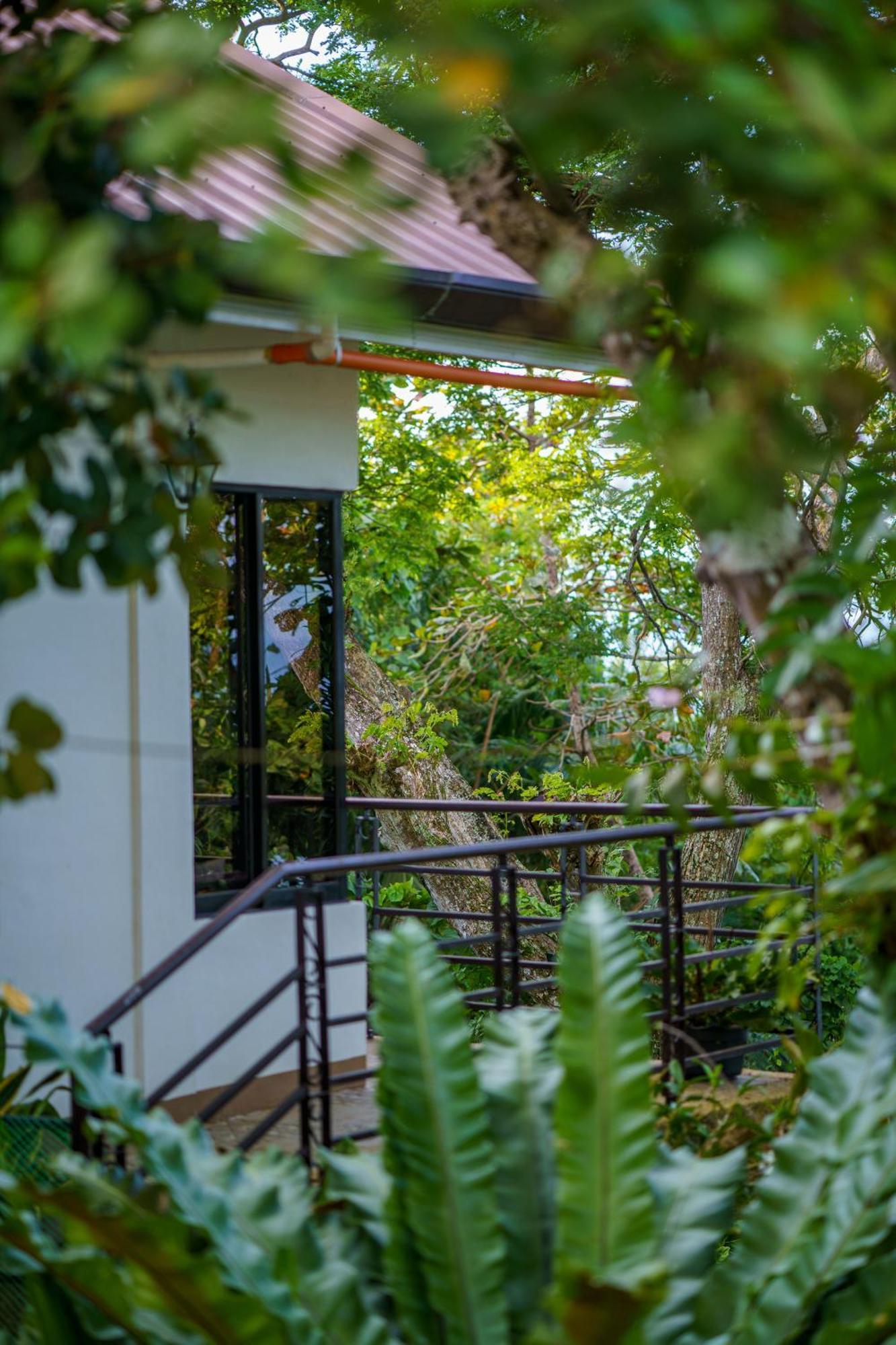 Oceanside 2 Bedroom House, 100Mbps Wifi Panglao Exteriör bild