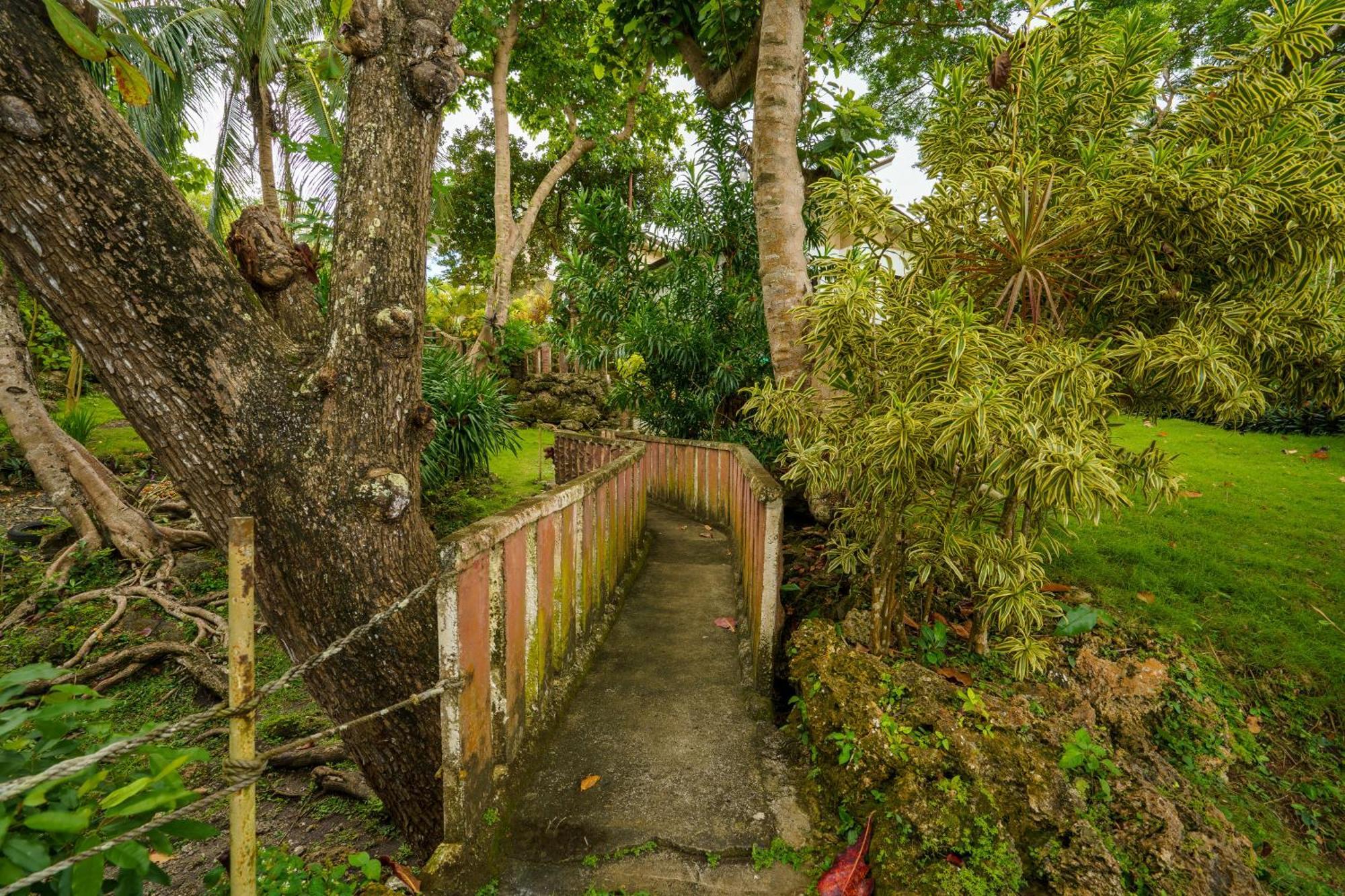Oceanside 2 Bedroom House, 100Mbps Wifi Panglao Exteriör bild