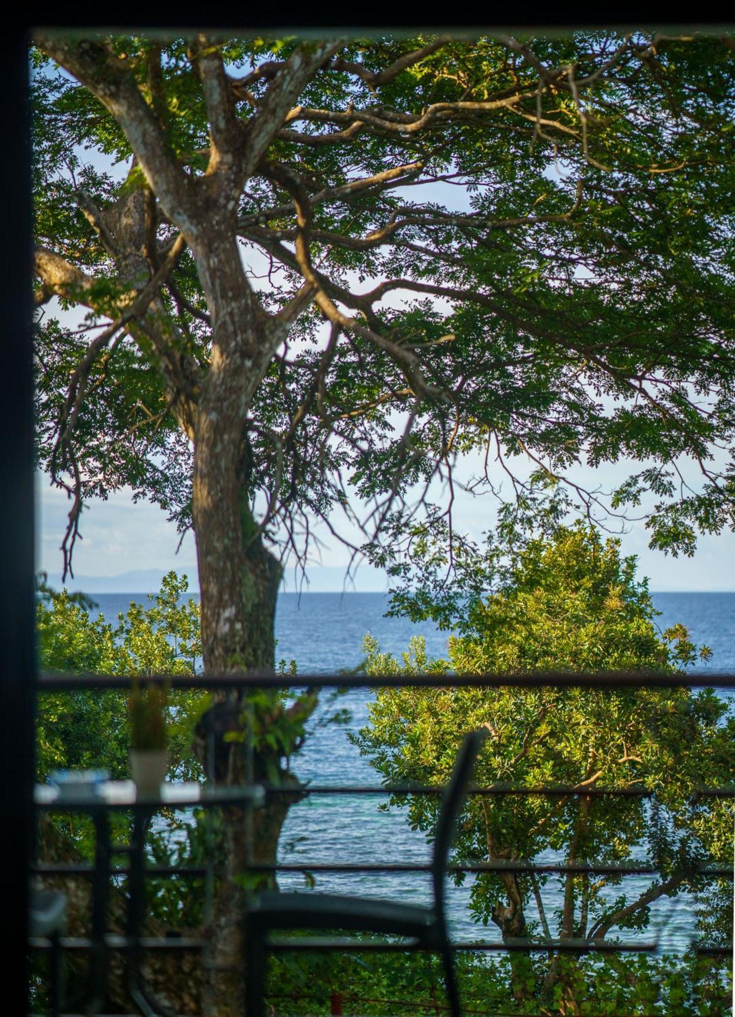 Oceanside 2 Bedroom House, 100Mbps Wifi Panglao Exteriör bild