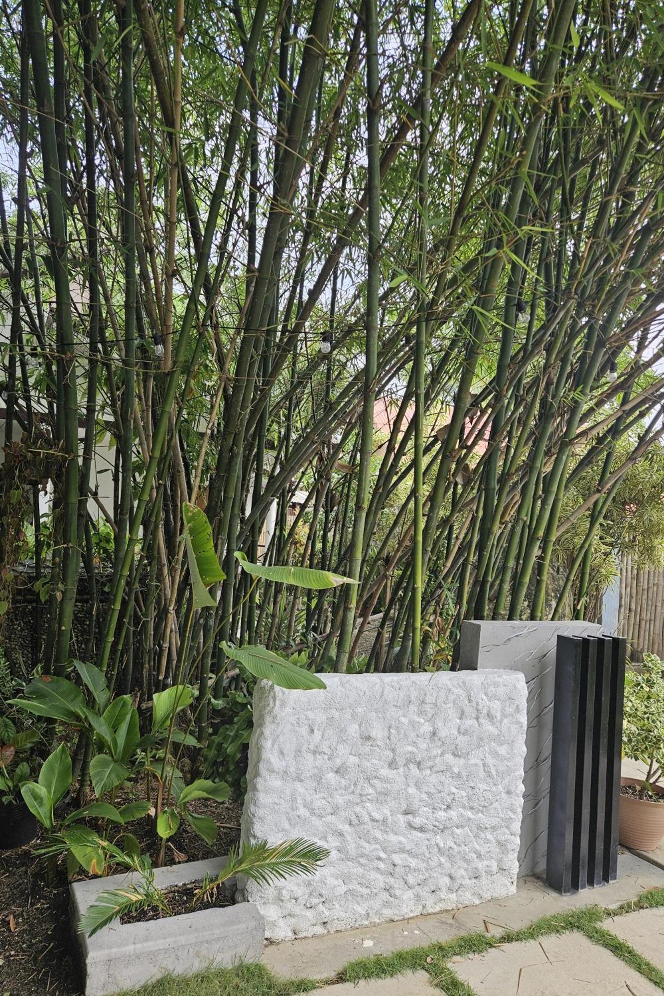 Oceanside 2 Bedroom House, 100Mbps Wifi Panglao Exteriör bild