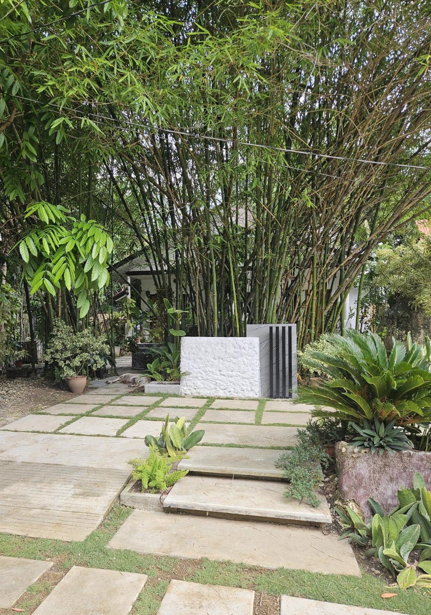 Oceanside 2 Bedroom House, 100Mbps Wifi Panglao Exteriör bild